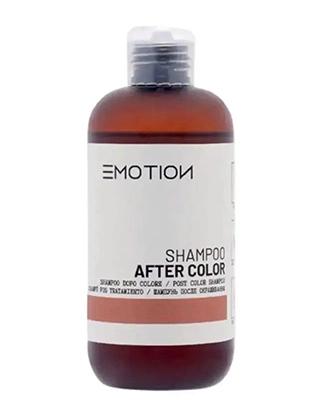 EMOTION AFTER COLOR shampoo